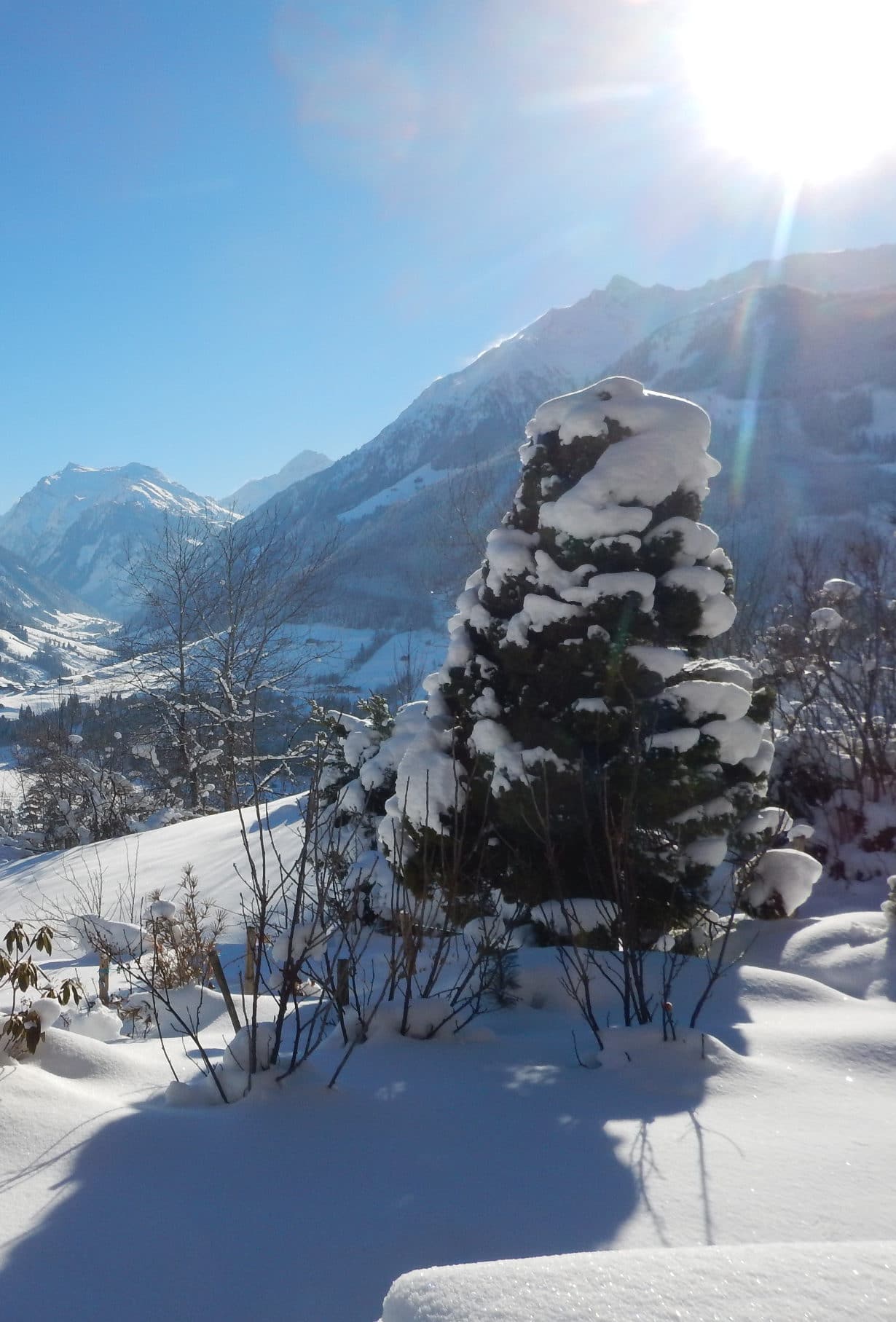 Winter Winter