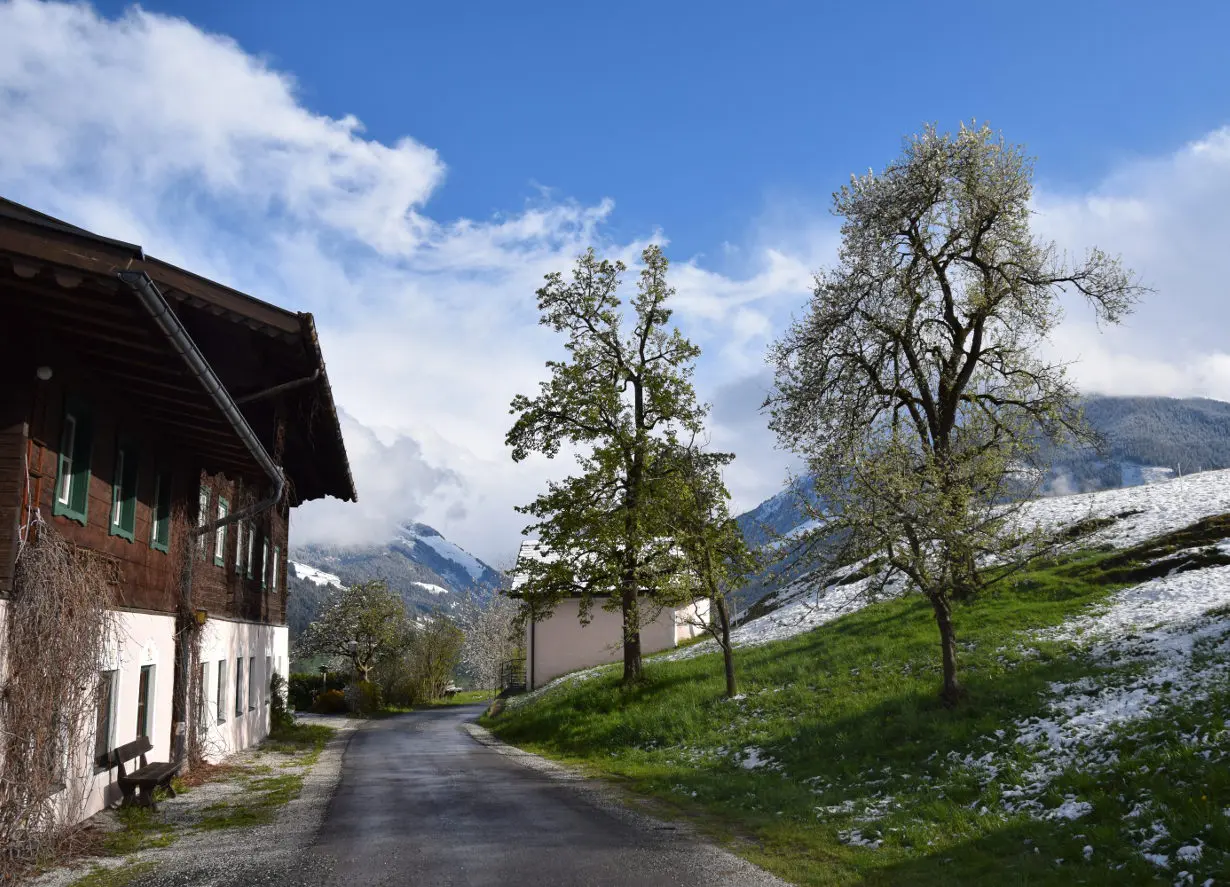 Schachernhof Schachernhof