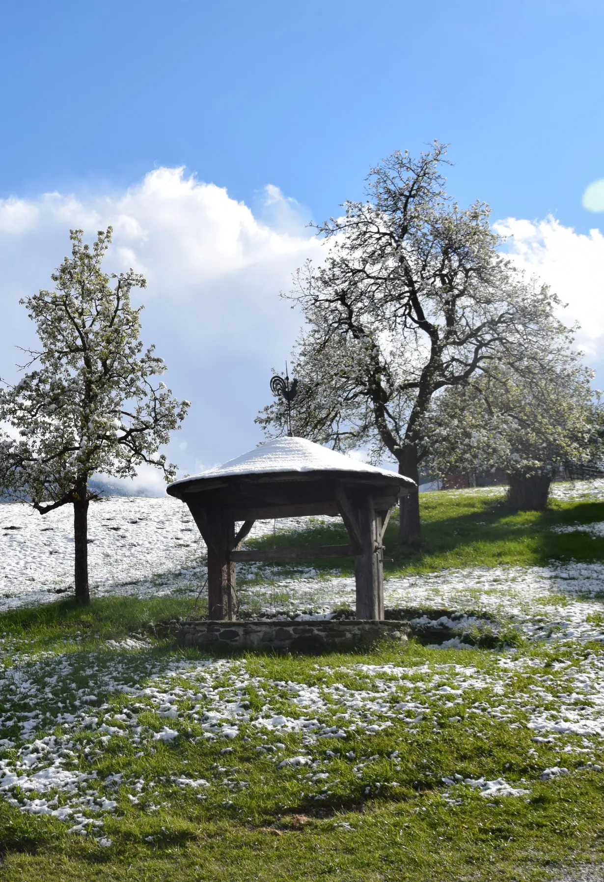 Schachernhof Schachernhof