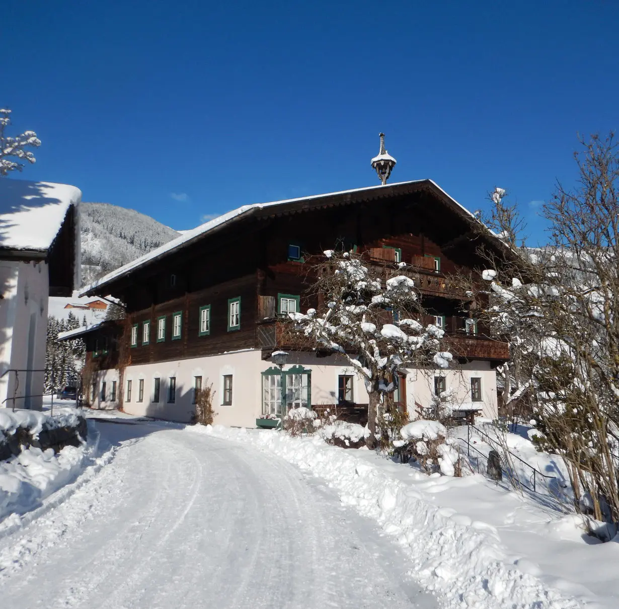 Schachernhof Schachernhof